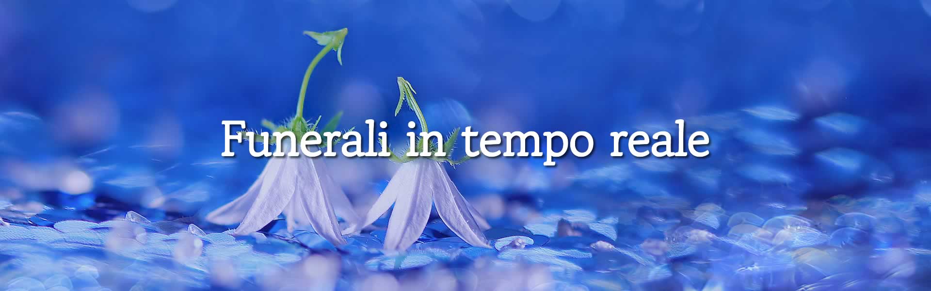 Composizioni funebri per funerali